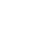 MAE